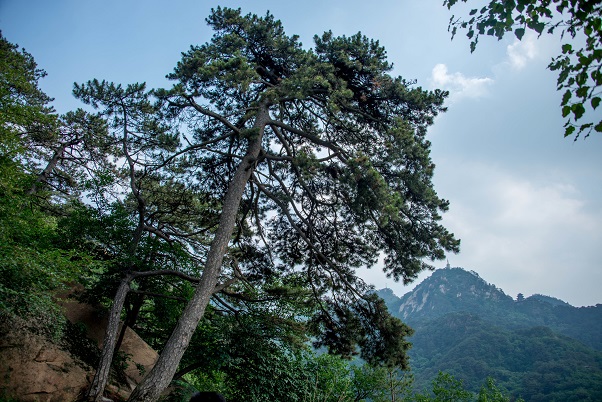 �������� ����ǿ��